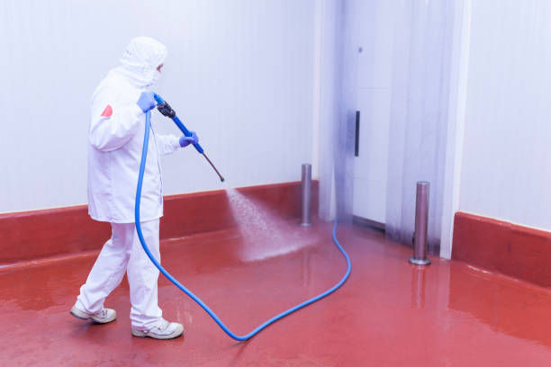 Best Patio and Deck Pressure Washing  in Rockaway Beach, OR